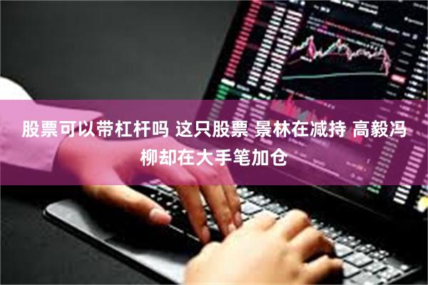 股票可以带杠杆吗 这只股票 景林在减持 高毅冯柳却在大手笔加仓