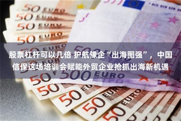 股票杠杆可以几倍 护航豫企“出海图强”，中国信保这场培训会赋能外贸企业抢抓出海新机遇