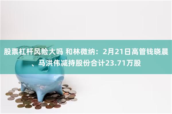 股票杠杆风险大吗 和林微纳：2月21日高管钱晓晨、马洪伟减持股份合计23.71万股