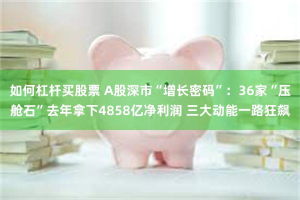 如何杠杆买股票 A股深市“增长密码”：36家“压舱石”去年拿下4858亿净利润 三大动能一路狂飙