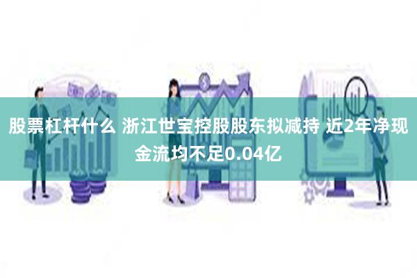 股票杠杆什么 浙江世宝控股股东拟减持 近2年净现金流均不足0.04亿