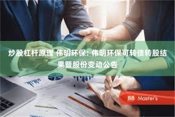 炒股杠杆原理 伟明环保: 伟明环保可转债转股结果暨股份变动公告