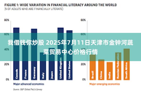 我借钱你炒股 2025年7月11日天津市金钟河蔬菜贸易中心价格行情