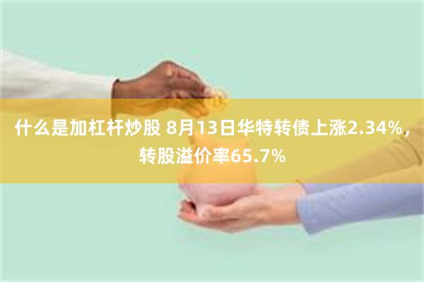 什么是加杠杆炒股 8月13日华特转债上涨2.34%，转股溢价率65.7%