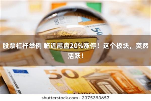股票杠杆举例 临近尾盘20%涨停！这个板块，突然活跃！