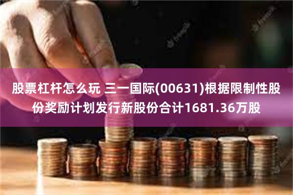 股票杠杆怎么玩 三一国际(00631)根据限制性股份奖励计划发行新股份合计1681.36万股