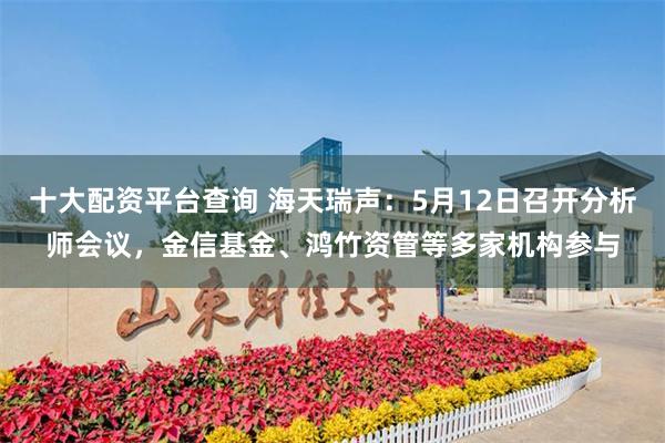十大配资平台查询 海天瑞声：5月12日召开分析师会议，金信基金、鸿竹资管等多家机构参与