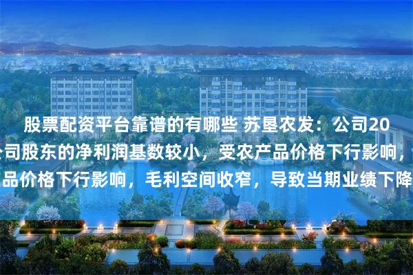 股票配资平台靠谱的有哪些 苏垦农发：公司2025年第一季度归属于公司股东的净利润基数较小，受农产品价格下行影响，毛利空间收窄，导致当期业绩下降幅度明显