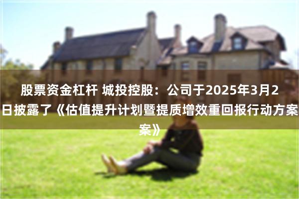 股票资金杠杆 城投控股：公司于2025年3月29日披露了《估值提升计划暨提质增效重回报行动方案》