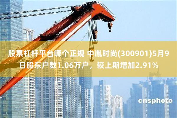 股票杠杆平台哪个正规 中胤时尚(300901)5月9日股东户数1.06万户，较上期增加2.91%
