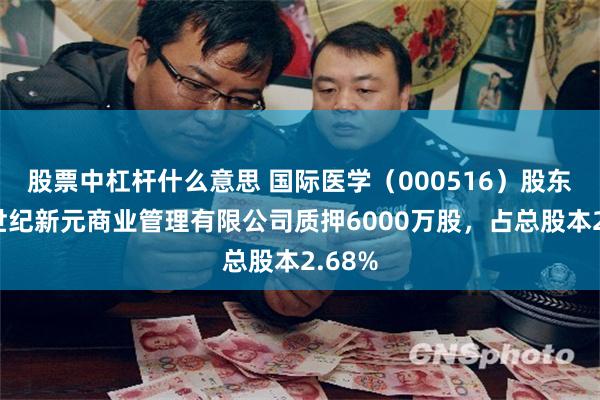 股票中杠杆什么意思 国际医学（000516）股东陕西世纪新元商业管理有限公司质押6000万股，占总股本2.68%