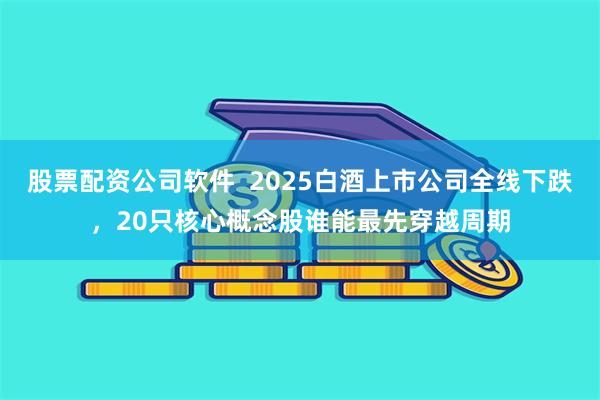 股票配资公司软件  2025白酒上市公司全线下跌，20只核心概念股谁能最先穿越周期