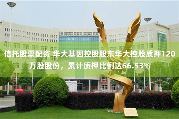 信托股票配资 华大基因控股股东华大控股质押120万股股份，累计质押比例达66.53%