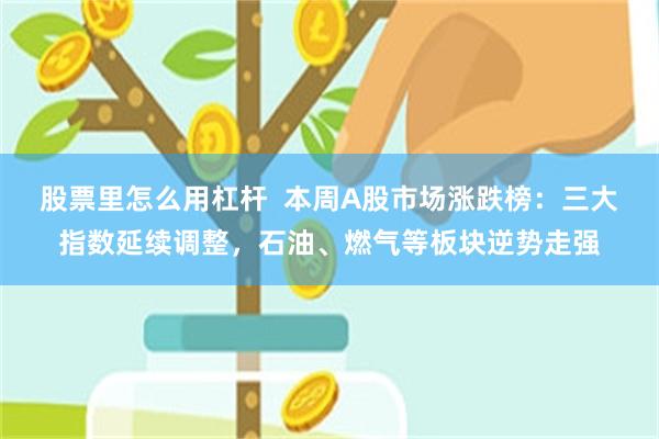 股票里怎么用杠杆  本周A股市场涨跌榜：三大指数延续调整，石油、燃气等板块逆势走强