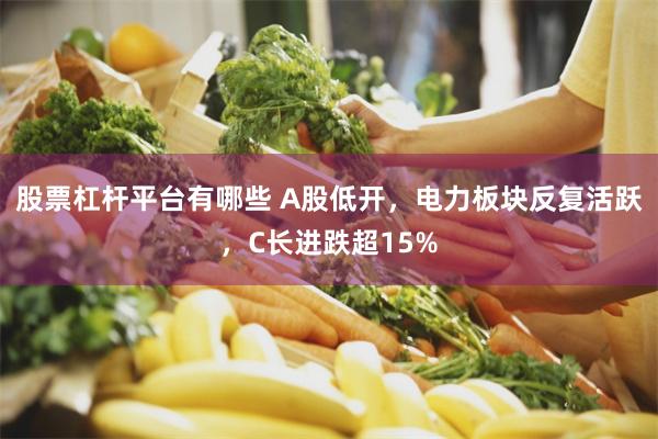 股票杠杆平台有哪些 A股低开，电力板块反复活跃，C长进跌超15%