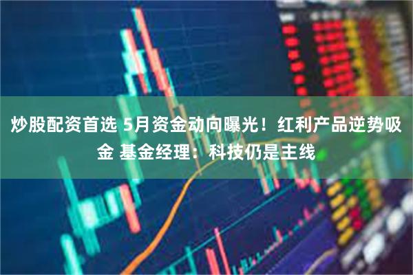 炒股配资首选 5月资金动向曝光！红利产品逆势吸金 基金经理：科技仍是主线