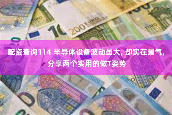 配资查询114 半导体设备波动虽大, 却实在景气, 分享两个实用的做T姿势
