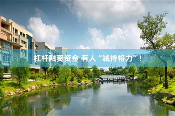 杠杆融资资金 有人“减持格力”!