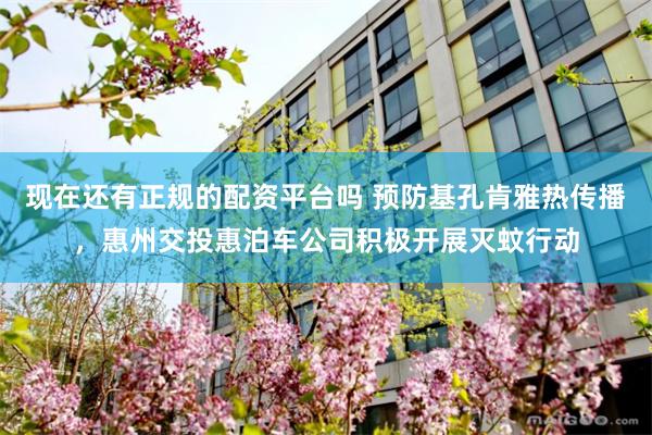 现在还有正规的配资平台吗 预防基孔肯雅热传播，惠州交投惠泊车公司积极开展灭蚊行动