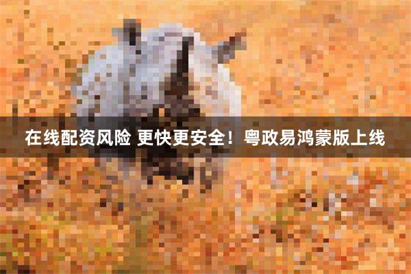 在线配资风险 更快更安全！粤政易鸿蒙版上线