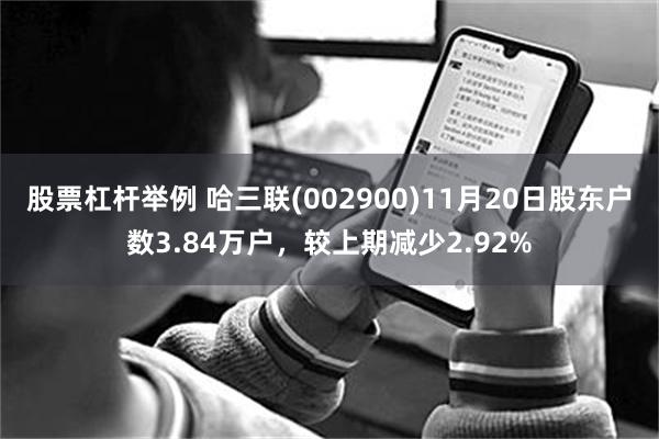 股票杠杆举例 哈三联(002900)11月20日股东户数3.84万户，较上期减少2.92%