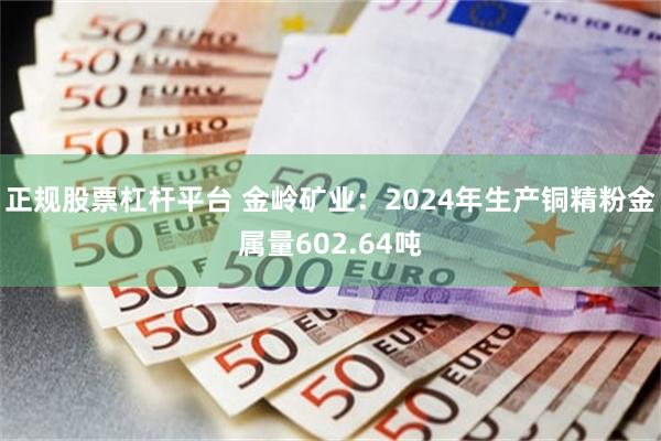 正规股票杠杆平台 金岭矿业：2024年生产铜精粉金属量602.64吨