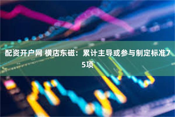 配资开户网 横店东磁：累计主导或参与制定标准75项