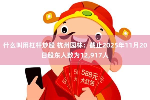 什么叫用杠杆炒股 杭州园林：截止2025年11月20日股东人数为12,917人