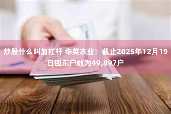 炒股什么叫加杠杆 华英农业：截止2025年12月19日股东户数为49,897户