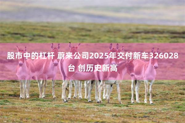 股市中的杠杆 蔚来公司2025年交付新车326028台 创历史新高