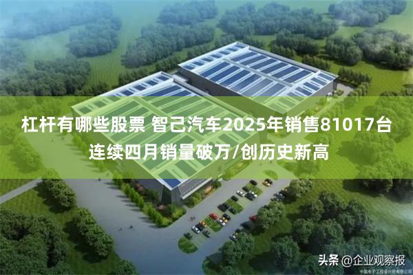 杠杆有哪些股票 智己汽车2025年销售81017台 连续四月销量破万/创历史新高