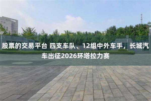股票的交易平台 四支车队、12组中外车手，长城汽车出征2026环塔拉力赛