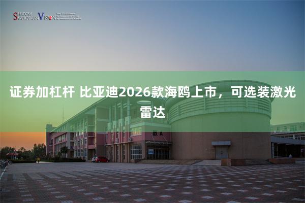证券加杠杆 比亚迪2026款海鸥上市,可选装激光雷达