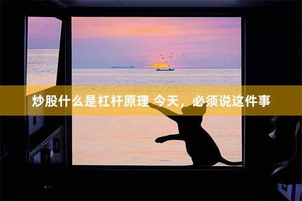 炒股什么是杠杆原理 今天，必须说这件事