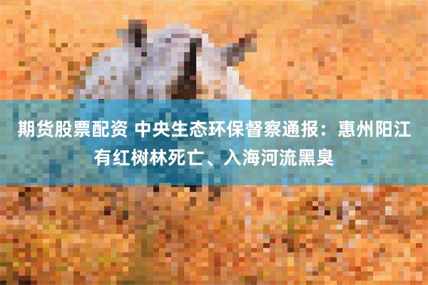 期货股票配资 中央生态环保督察通报：惠州阳江有红树林死亡、入海河流黑臭
