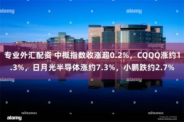 专业外汇配资 中概指数收涨超0.2%,CQQQ涨约1.3%,日月光半导体涨约7.3%,小鹏跌约2.7%
