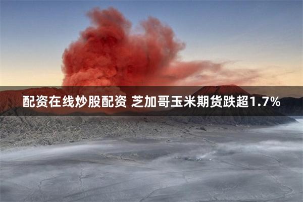 配资在线炒股配资 芝加哥玉米期货跌超1.7%