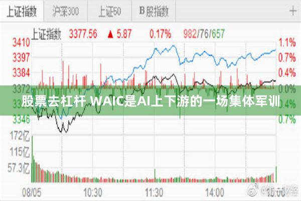 股票去杠杆 WAIC是AI上下游的一场集体军训