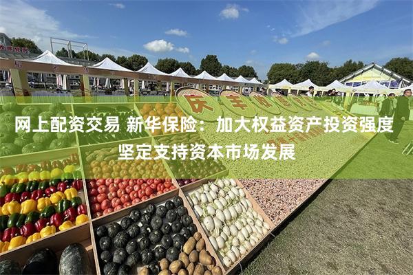 网上配资交易 新华保险：加大权益资产投资强度 坚定支持资本市场发展