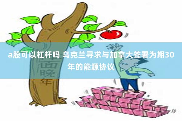 a股可以杠杆吗 乌克兰寻求与加拿大签署为期30年的能源协议