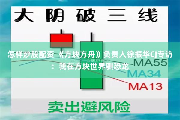 怎样炒股配资 《方块方舟》负责人徐振华CJ专访:我在方块世界驯恐龙