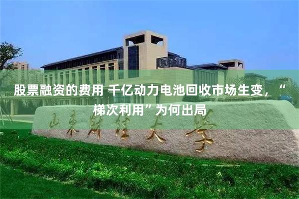 股票融资的费用 千亿动力电池回收市场生变,“梯次利用”为何出局
