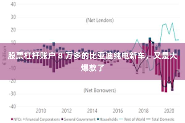 股票杠杆账户 8 万多的比亚迪纯电新车，又是大爆款了