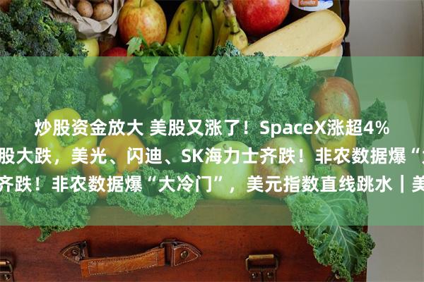 炒股资金放大 美股又涨了！SpaceX涨超4%，特斯拉涨超2%；存储股大跌，美光、闪迪、SK海力士齐跌！非农数据爆“大冷门”，美元指数直线跳水｜美股开盘