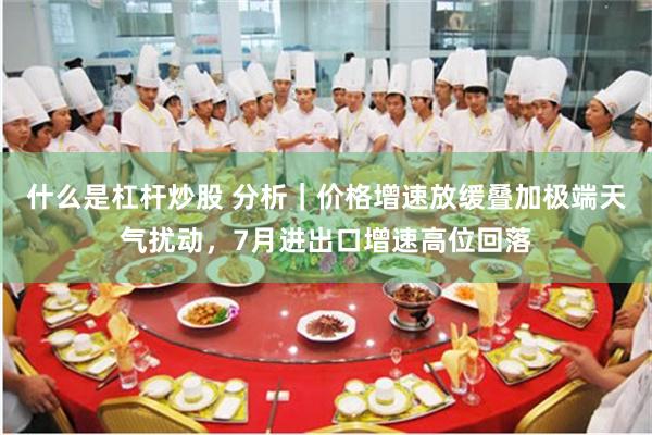 什么是杠杆炒股 分析｜价格增速放缓叠加极端天气扰动，7月进出口增速高位回落