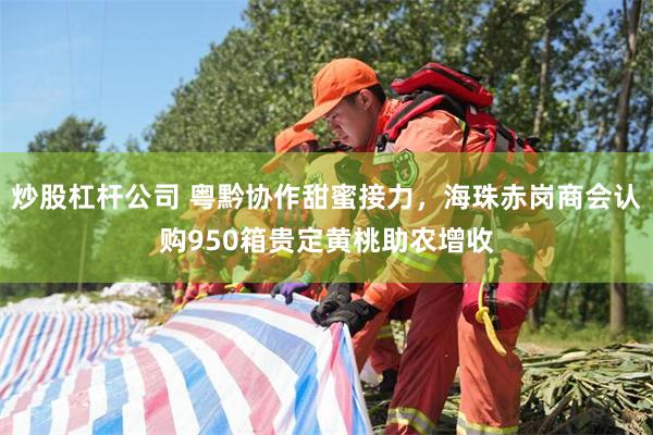 炒股杠杆公司 粤黔协作甜蜜接力，海珠赤岗商会认购950箱贵定黄桃助农增收