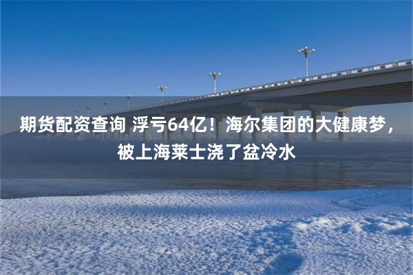期货配资查询 浮亏64亿！海尔集团的大健康梦，被上海莱士浇了盆冷水