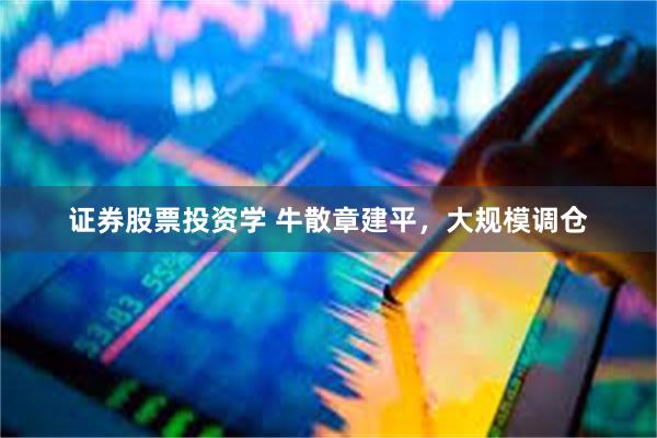 证券股票投资学 牛散章建平，大规模调仓
