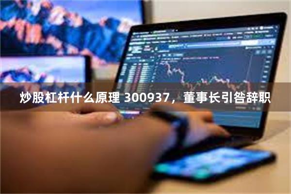 炒股杠杆什么原理 300937，董事长引咎辞职