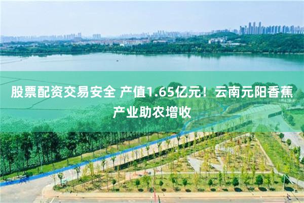 股票配资交易安全 产值1.65亿元！云南元阳香蕉产业助农增收